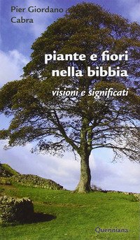Piante e fiori nella Bibbia. Visioni e significati