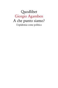 A che punto siamo? L'epidemia come politica