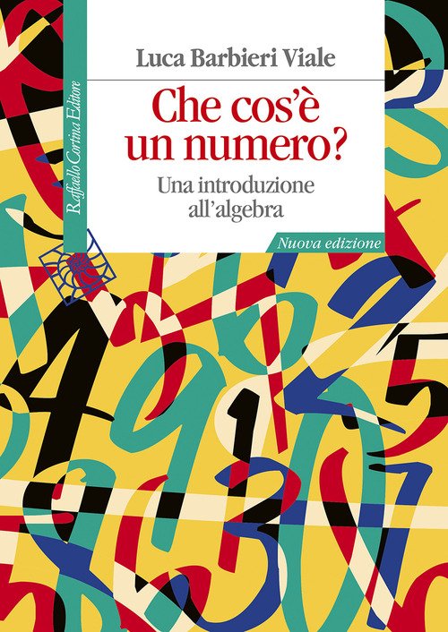 Che cos'è un numero? Una introduzione all'algebra