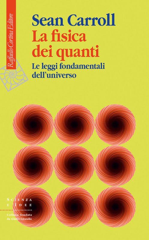 La fisica dei quanti. Le leggi fondamentali dell'universo