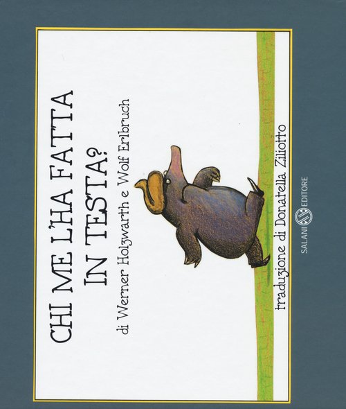 Chi me l'ha fatta in testa? Piccoli libri perfetti