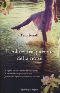 Il colore trasparente della notte