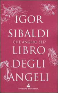 Libro degli angeli