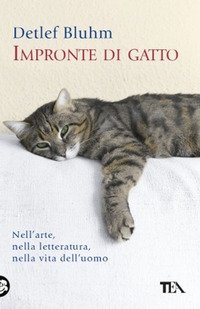Impronte di gatto