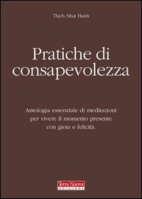 Pratiche di consapevolezza. Antologia essenziale di meditazioni per vivere il momento presente con gioia e felicità