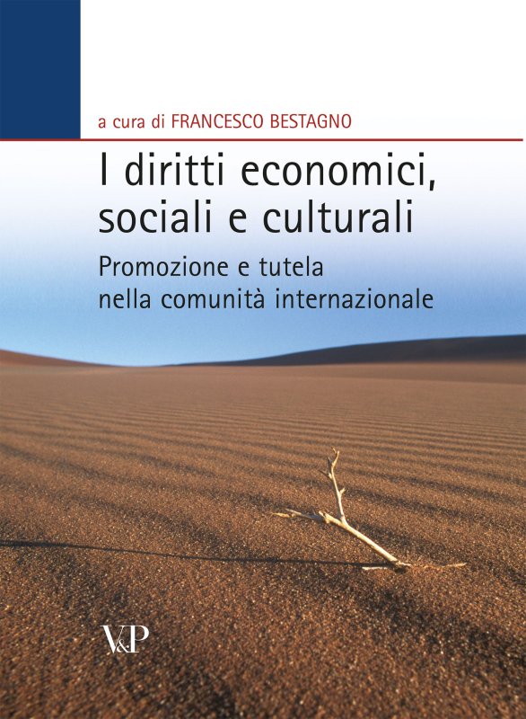 I diritti economici, sociali e culturali