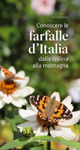 Conoscere le farfalle d'Italia dalla collina alla montagna