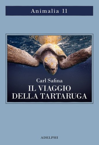Il viaggio della tartaruga. Alla ricerca dell'ultimo dinosauro