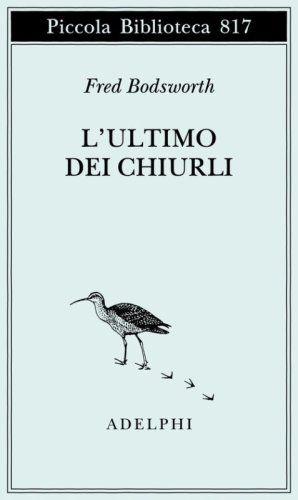 L'ultimo dei chiurli