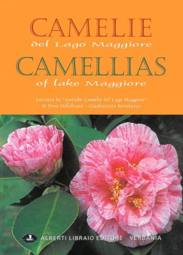 Camelie del Lago Maggiore. Estratto da &laquo;Antiche camelie&raquo;