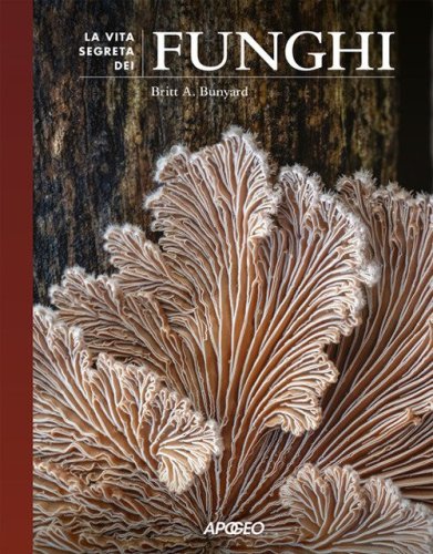La vita segreta dei funghi