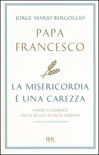 La misericordia &egrave; una carezza. Vivere il giubileo nella realt&agrave; di ogni giorno