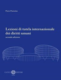 Lezioni di tutela internazionale dei diritti umani