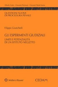 Gli esperimenti giudiziali. Limiti e potenzialit&agrave; di un istituto negletto