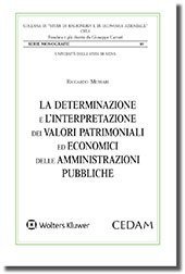 La determinazione e l'interpretazione dei valori patrimoniali ed economici delle P.A.