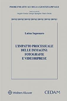 L'impatto processuale delle immagini: fotografie e videoriprese