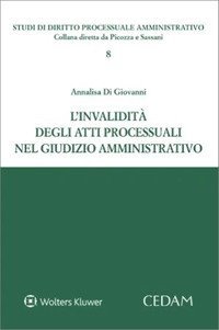 L'invalidit&agrave; degli atti processuali nel giudizio amministrativo