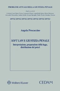 Soft law e giustizia penale