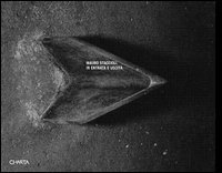 Mauro Staccioli - In entrata e uscita. Ediz. italiana e inglese