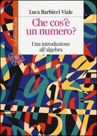 Che cos'&egrave; un numero. Un'introduzione all'algebra