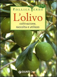 L'olivo. Coltivazione, raccolta e utilizzo