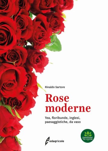 Rose moderne. Tea, floribunde, inglesi, paesaggistiche, da vaso