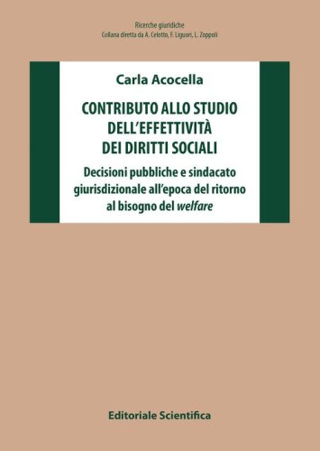 Contributo allo studio dell'effettivit&agrave; dei diritti sociali. Decisioni pubbliche e sindacato giurisdizionale all'epoca del ritorno al bisogno del welfare