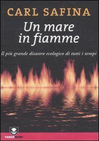 Un mare in fiamme. Il pi&ugrave; grande disastro ecologico di tutti i tempi