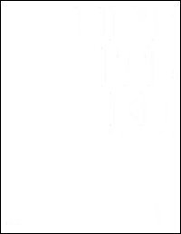 Untitled. The best of Galleria Cardi. Ediz. italiana e inglese