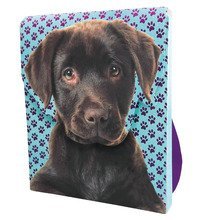 Il mio zainetto dei cuccioli. Con adesivi