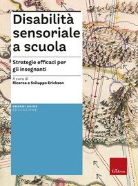 Disabilit&agrave; sensoriale a scuola. Strategie efficaci per gli insegnanti. Con aggiornamento on line