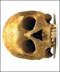 Annual Art directors club italiano