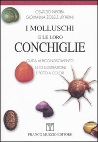 I molluschi e le loro conchiglie - Guida al riconoscimento