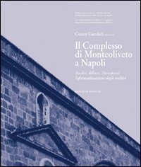 Il complesso di Monteoliveto a Napoli - Analisi, rilievi, documenti, informazioni degli archivi