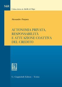 Autonomia privata, responsabilit&agrave; e attuazione coattiva del credito