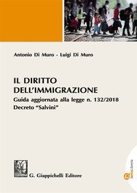 Il diritto dell'immigrazione. Guida aggiornata alla Legge n. 132/2018 Decreto &laquo;Salvini&raquo;