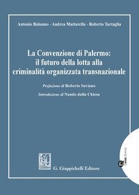 La Convenzione di Palermo: il futuro della lotta alla criminalit&agrave; organizzata transnazionale