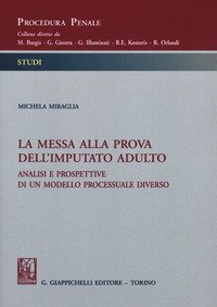La messa alla prova dell'imputato adulto. Analisi e prospettive di un sistema processuale diverso