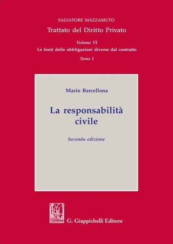 La responsabilit&agrave; civile