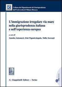 L'immigrazione irregolare via mare nella giurisprudenza italiana e nell'esperienza europea