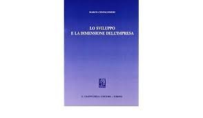 Lo sviluppo e la dimensione dell'impresa