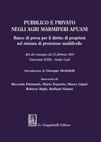 Pubblico e privato negli agri marmiferi apuani. Banco di prova per il diritto di propriet&agrave; nel sistema di protezione multilivello. Atti del Convegno (22 febbraio 2019)