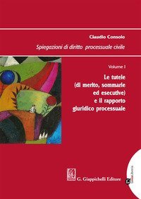 Spiegazioni di diritto processuale civile