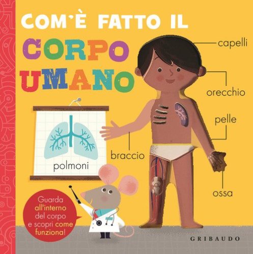 Com'&egrave; fatto il corpo umano