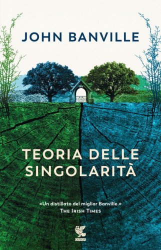 Teoria delle singolarit&agrave;