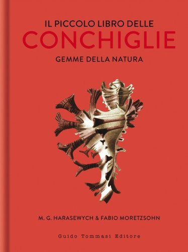 Il piccolo libro delle conchiglie. Gemme della natura