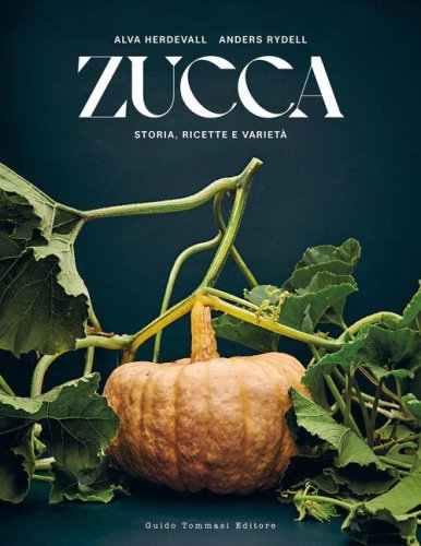 Zucca