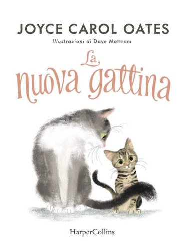 La nuova gattina