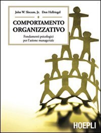 Comportamento organizzativo - Fondamenti psicologici per l'azione manageriale