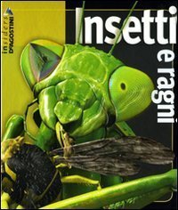 Insetti E Ragni